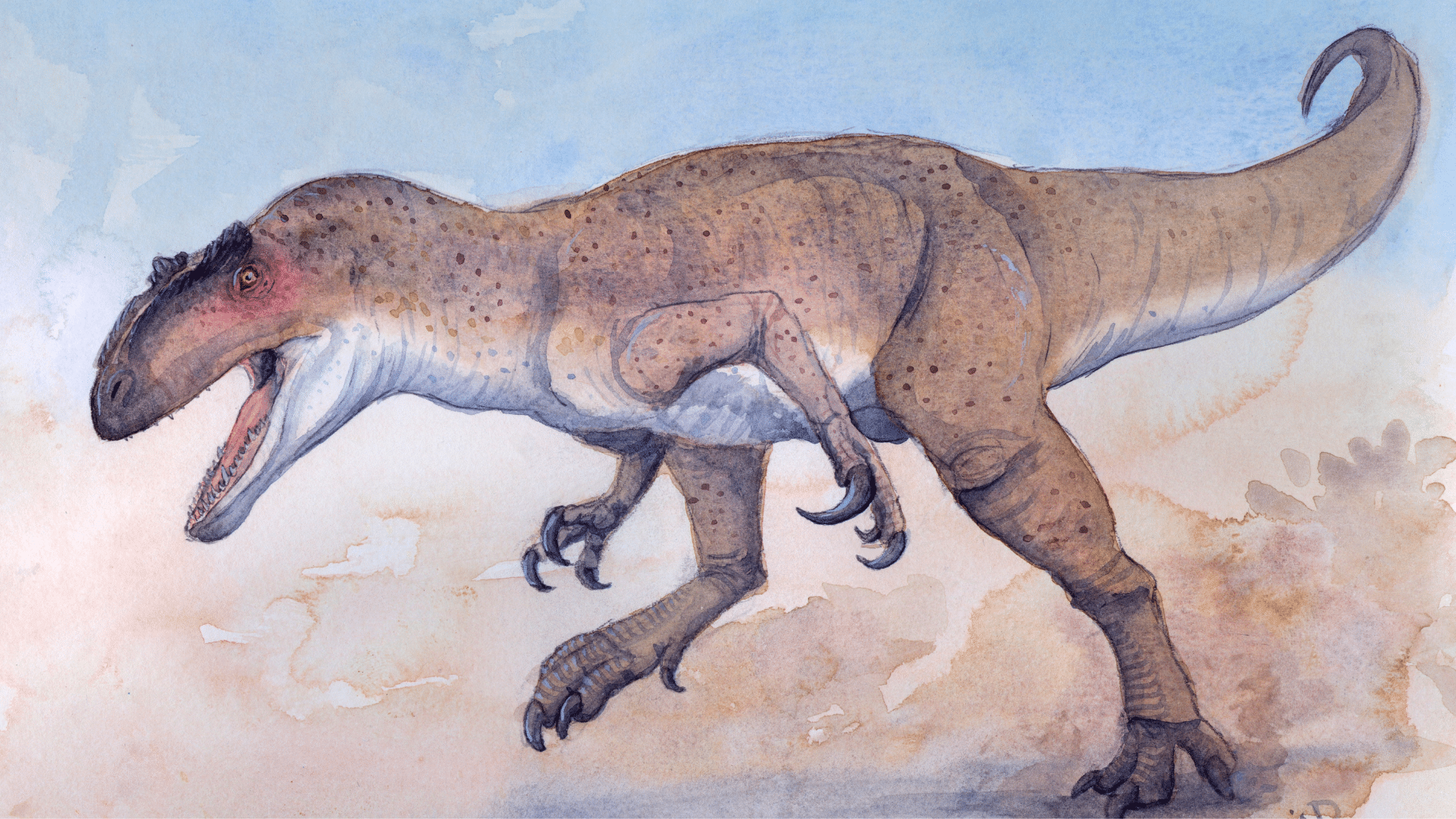 Allosaurus