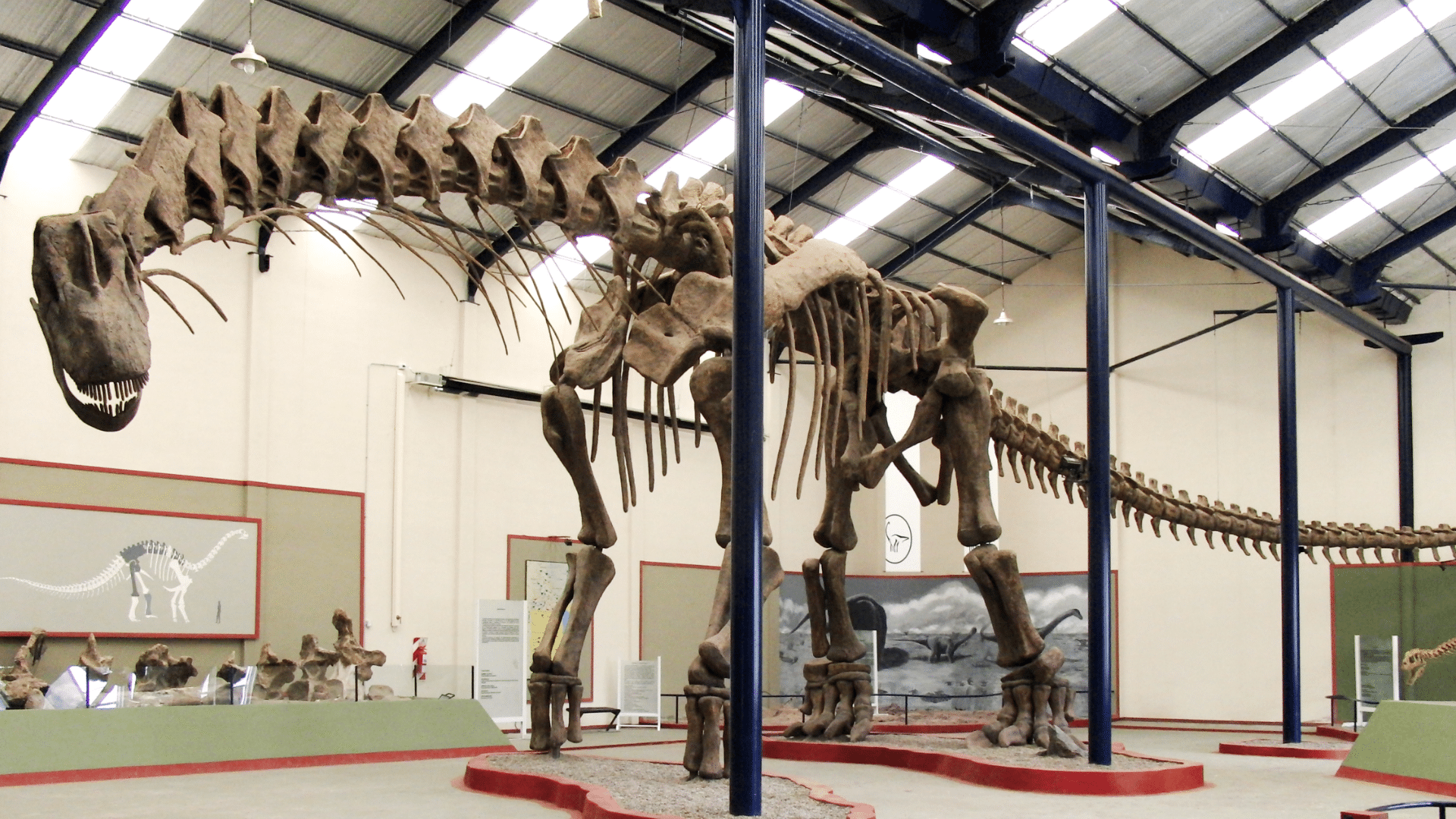 Argentinosaurus_Huinculensis