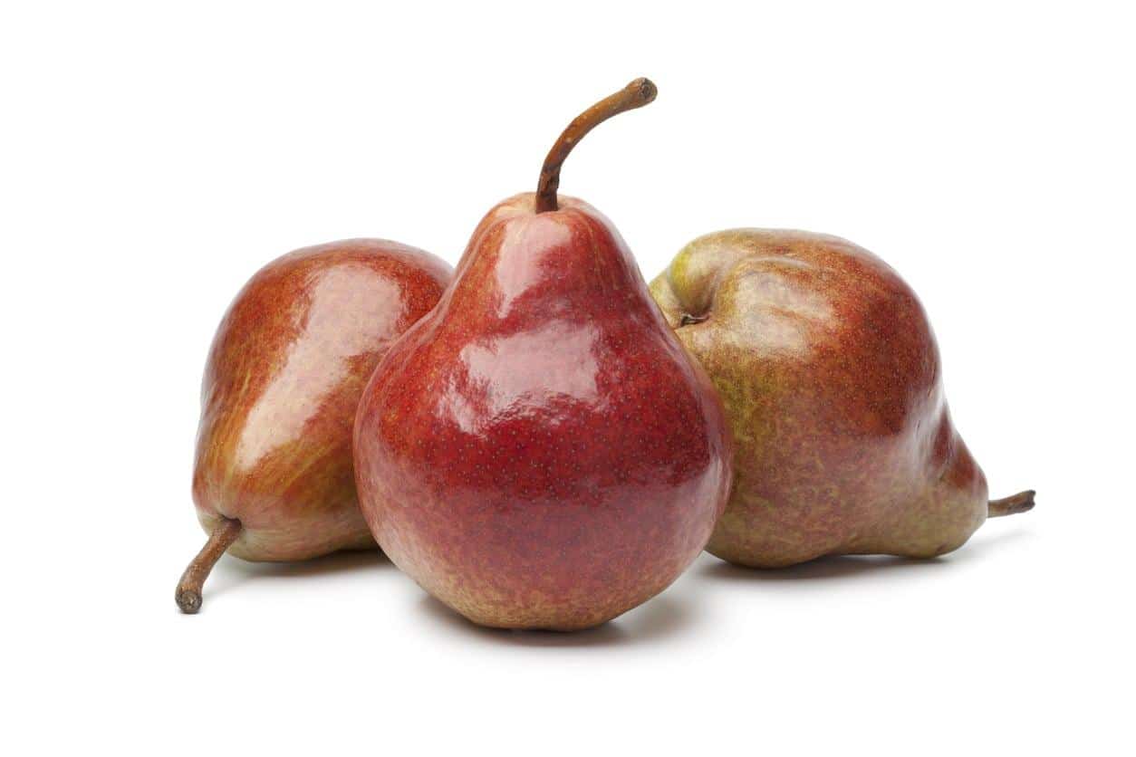 Bartlett_Pear