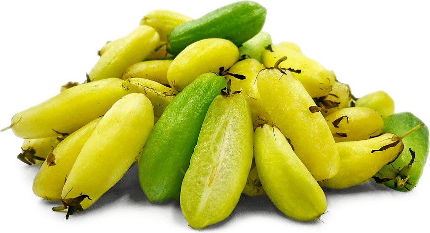 Bilimbi