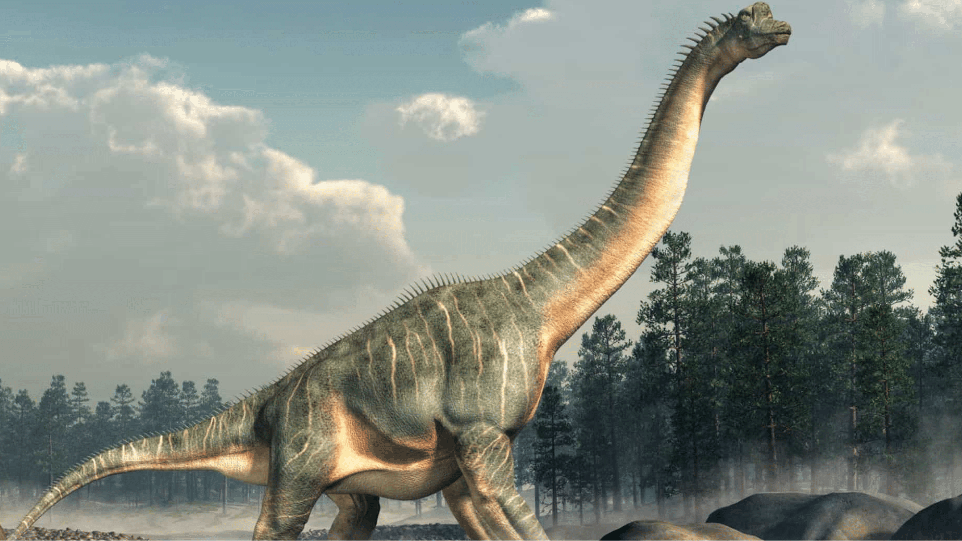 Brachiosaurus