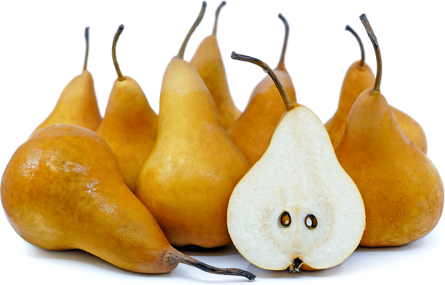 Brown_Pear