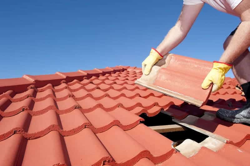 Checking the Roof