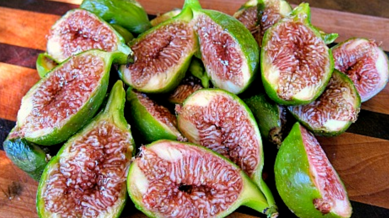 Desert_Fig