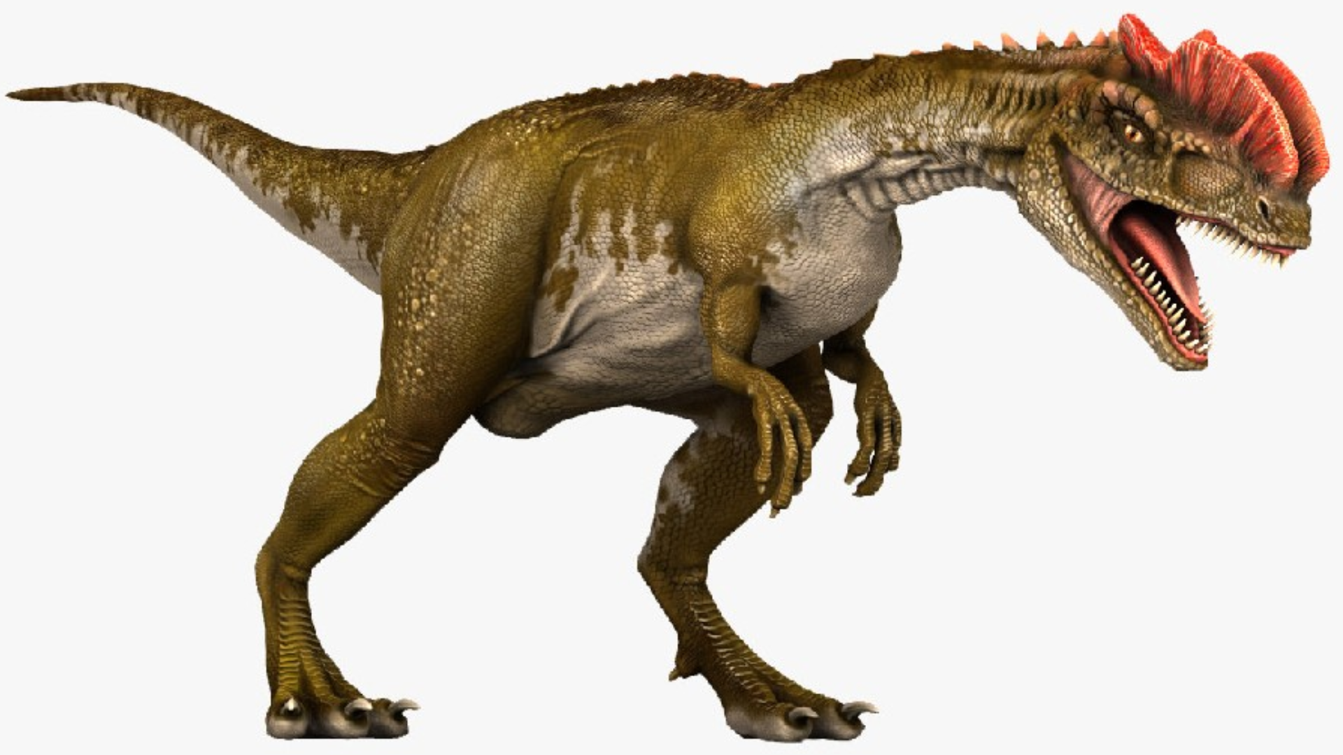 Dilophosaurus