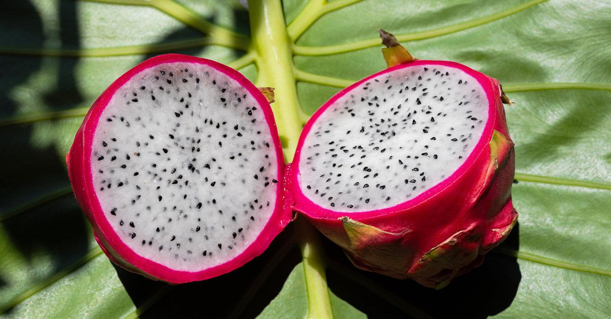 Dragon_Fruit_Pitaya