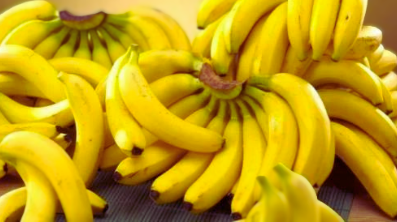 Dwarf_Banana