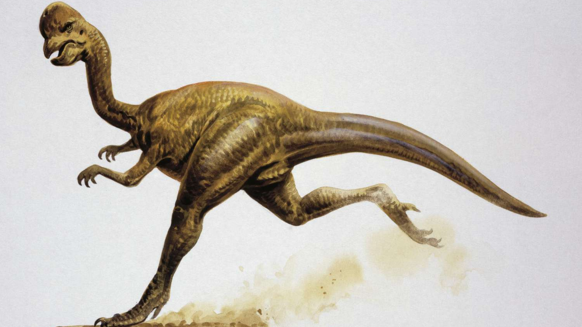 Oviraptor_Protoceratops