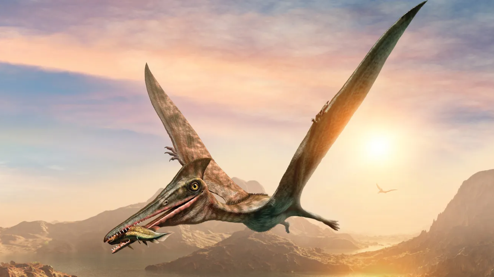 Pteranodon_flying_reptile