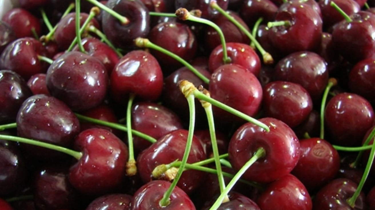 Queensland_Cherry