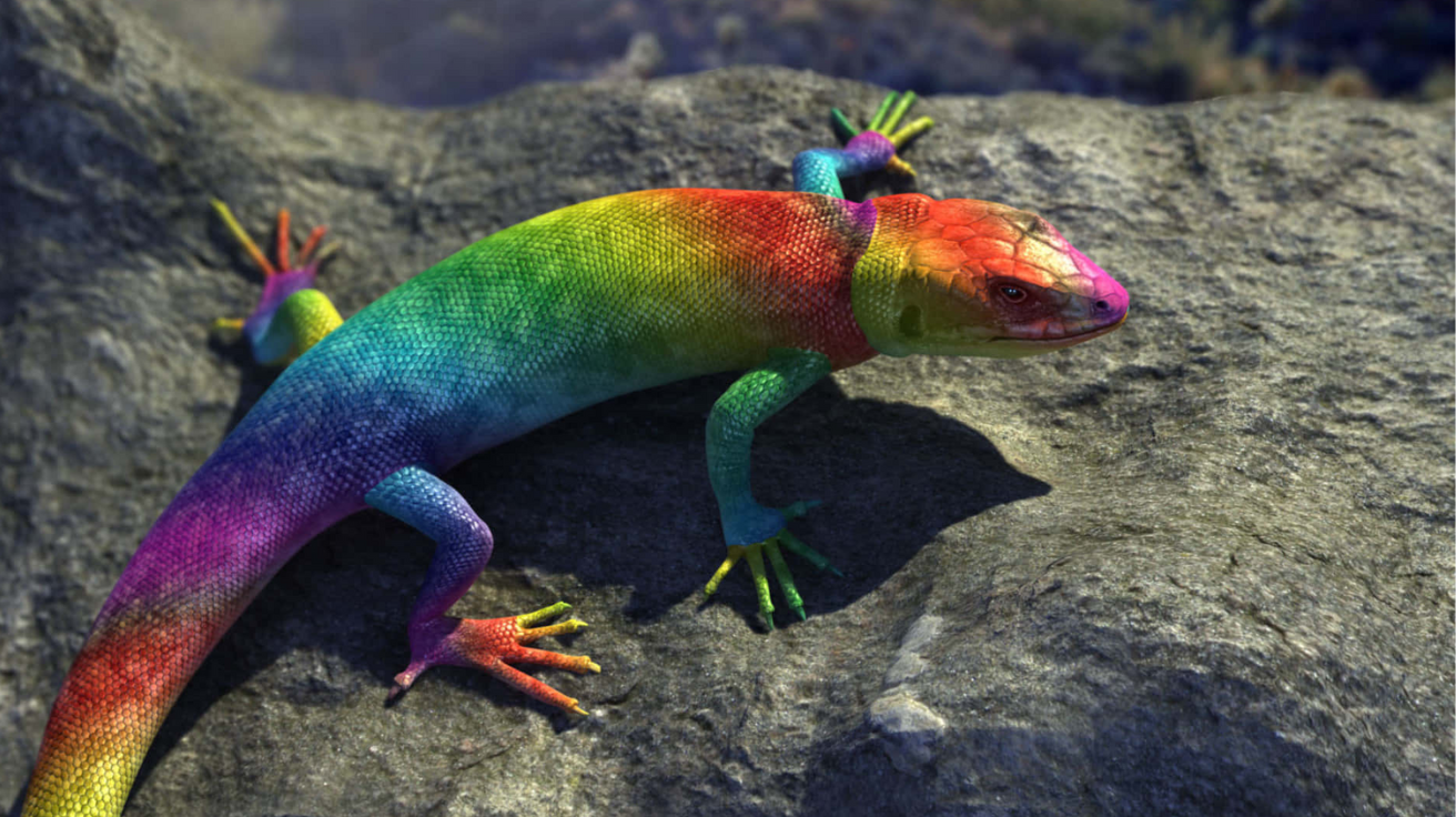 Rainbow_Lizard