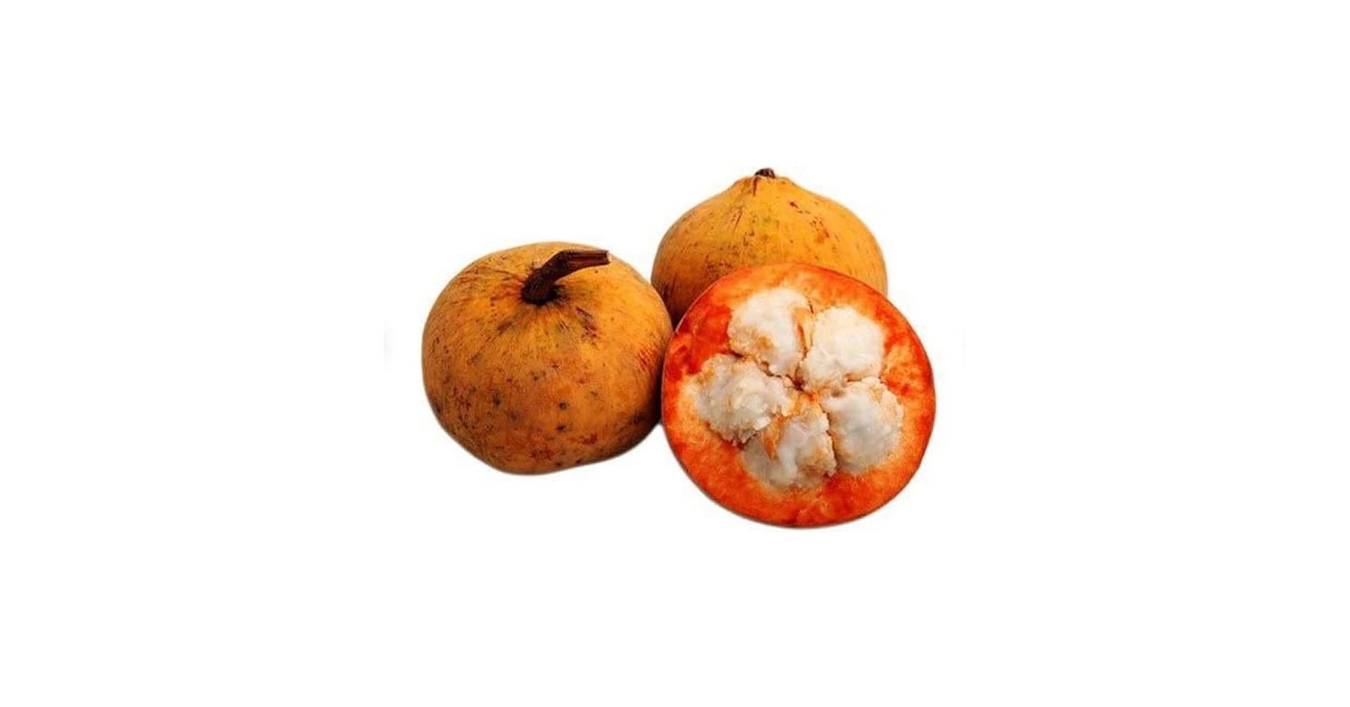 Santol