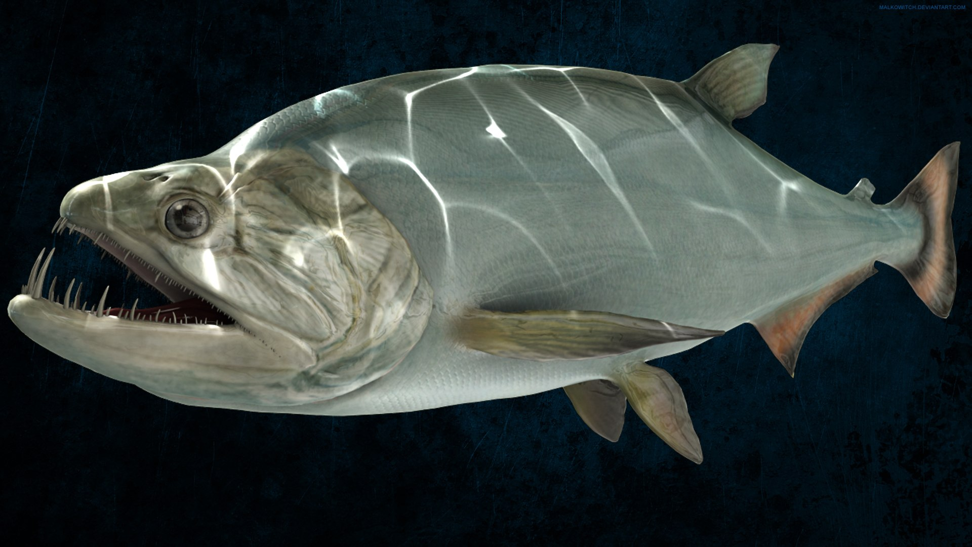 Vampire_Fish_Payara