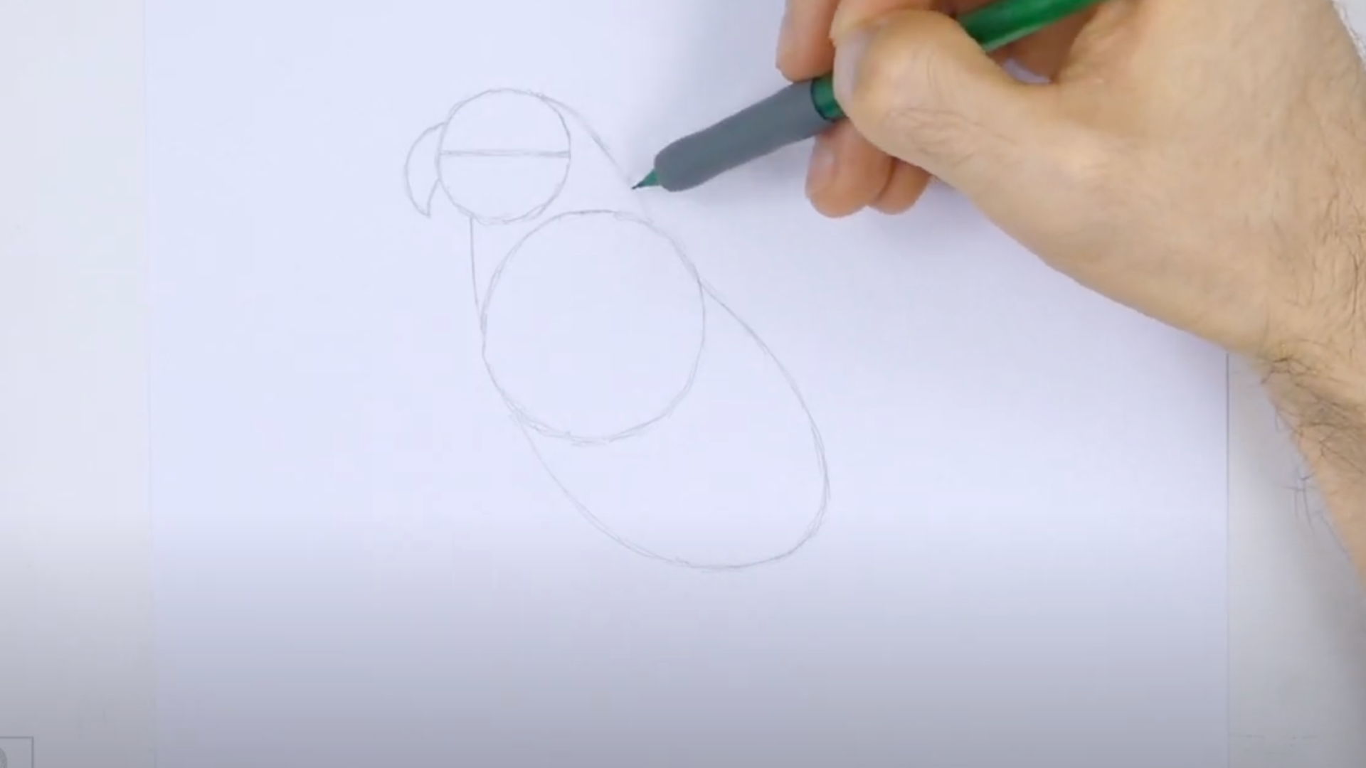 Sketch_the_Head_and_Neck