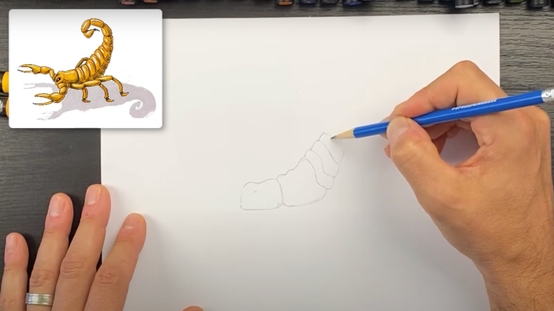 Step_2_Shape_the_Bodys_Upper_Part