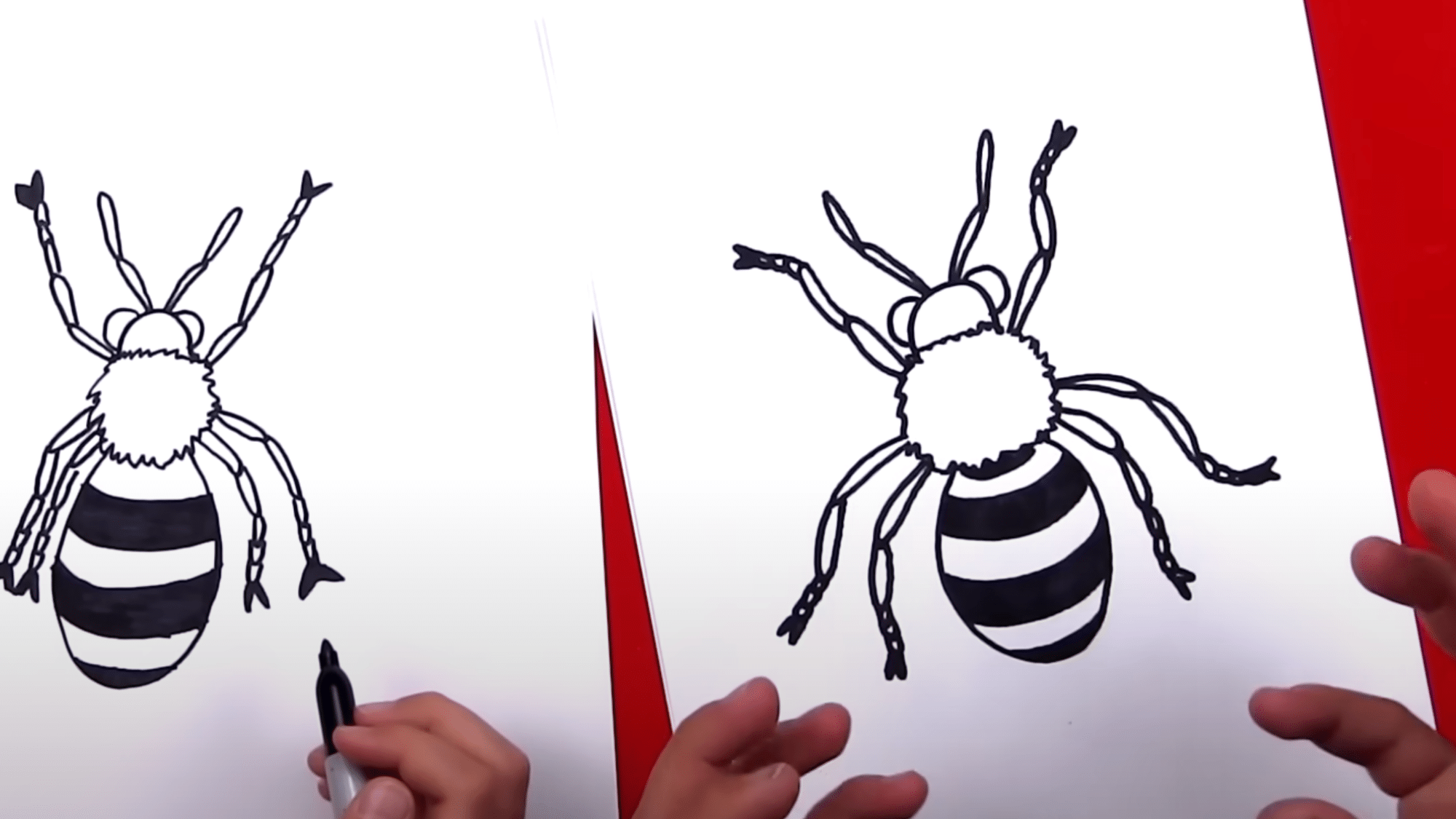 Draw the Stripes