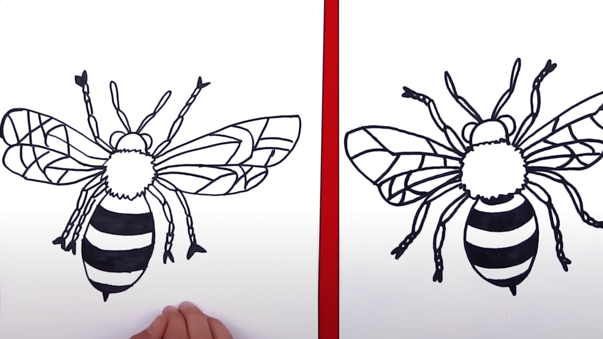 Draw the Wings
