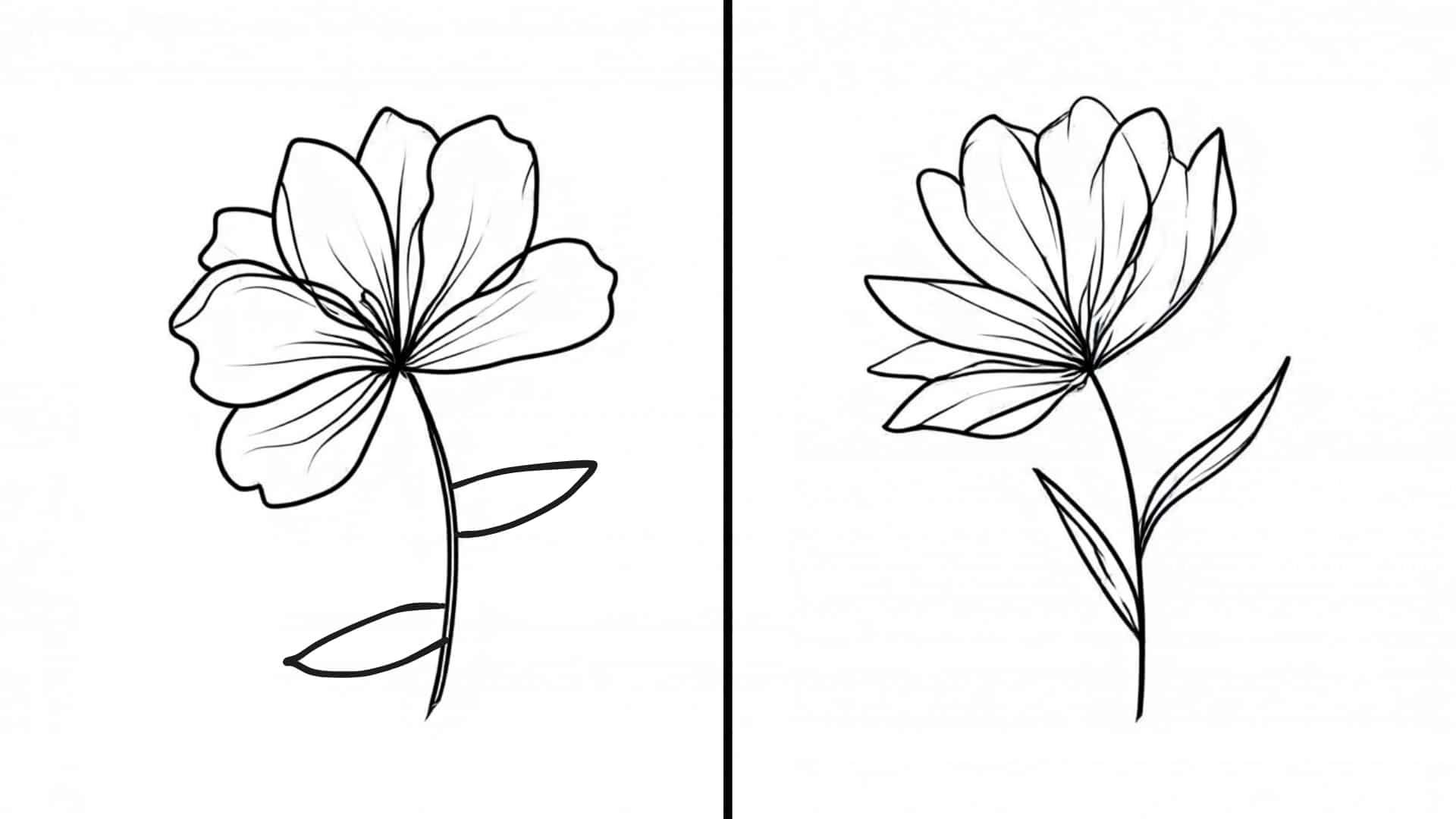 Avoid These Common Floral Drawing Mistakes