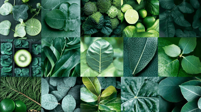 Easy Green Things to Draw for Beginners
