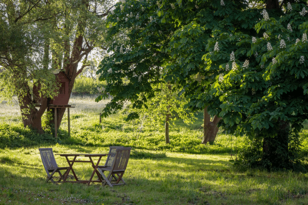Fresh Summer Starts at Home With These Simple Upgrades