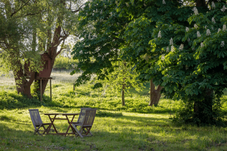 Fresh Summer Starts at Home With These Simple Upgrades