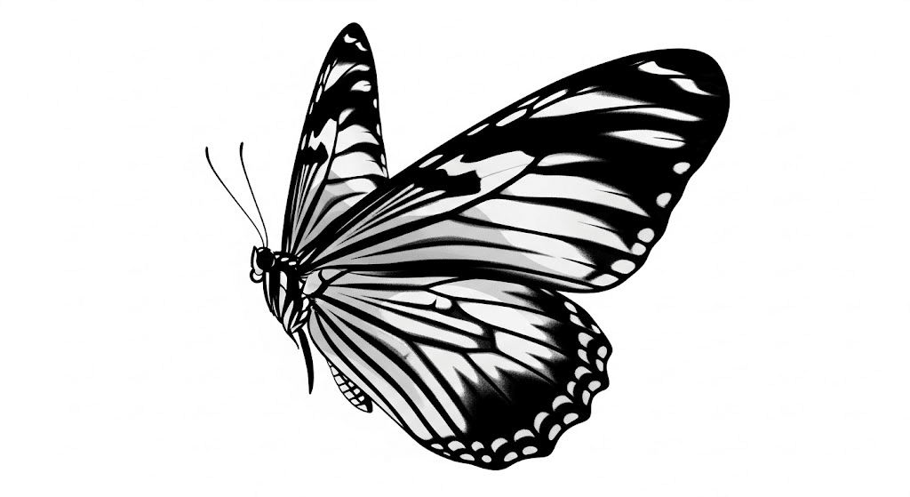 Butterfly_with_Alternating_Wide_Stripes_on_Wings