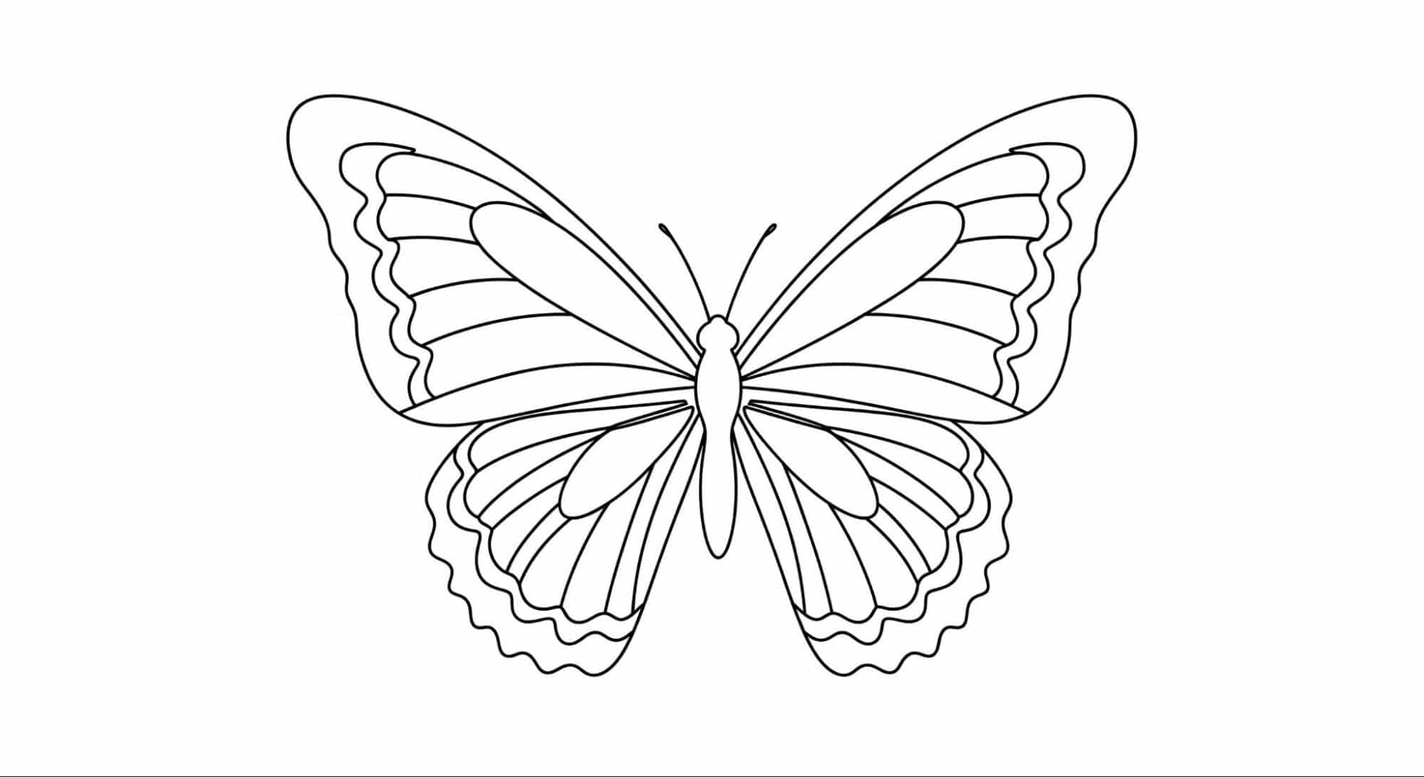 Butterfly_with_Scalloped_Wing_Edges