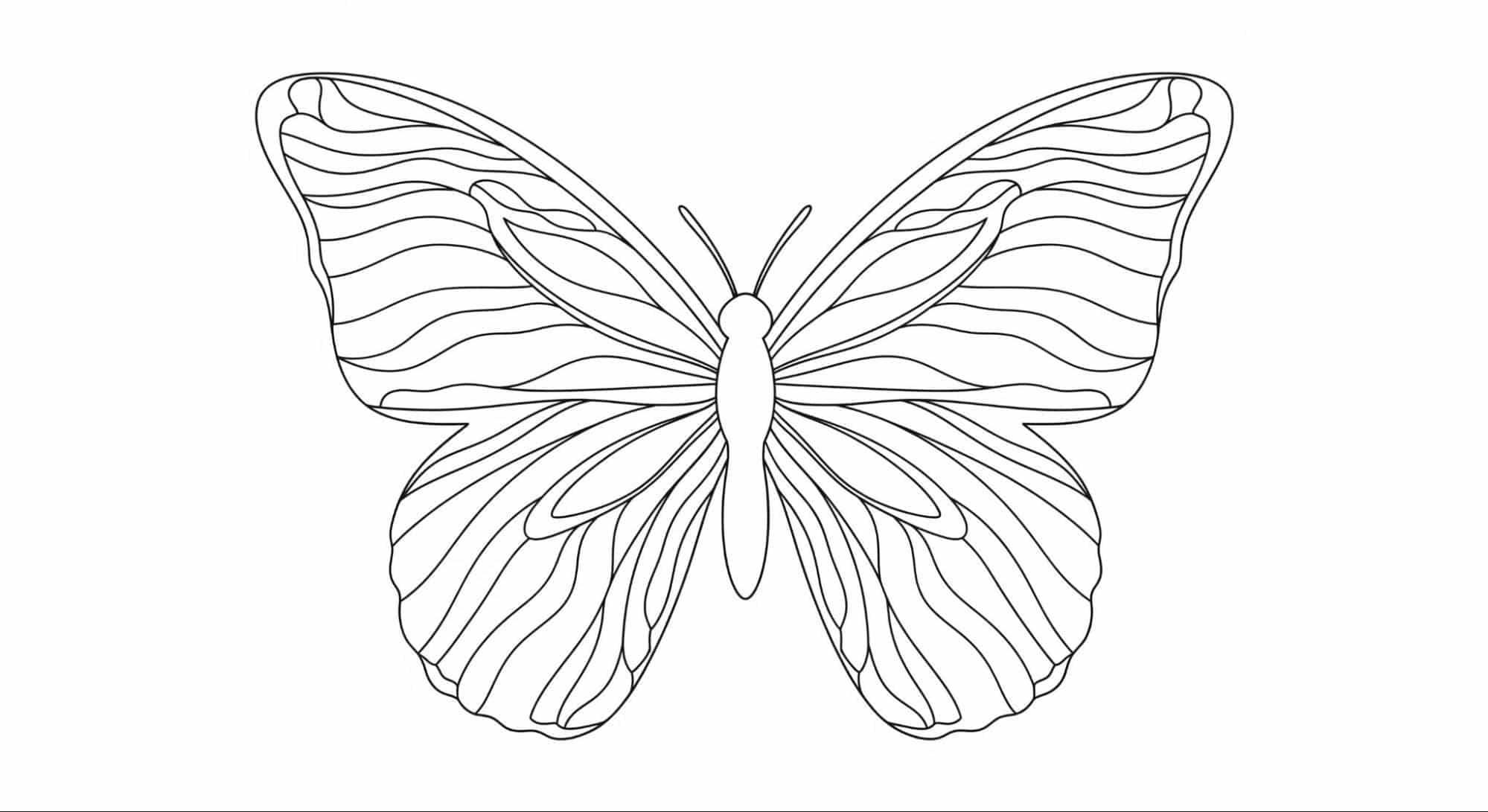 Butterfly_with_Wavy_Lines_Across_Wings