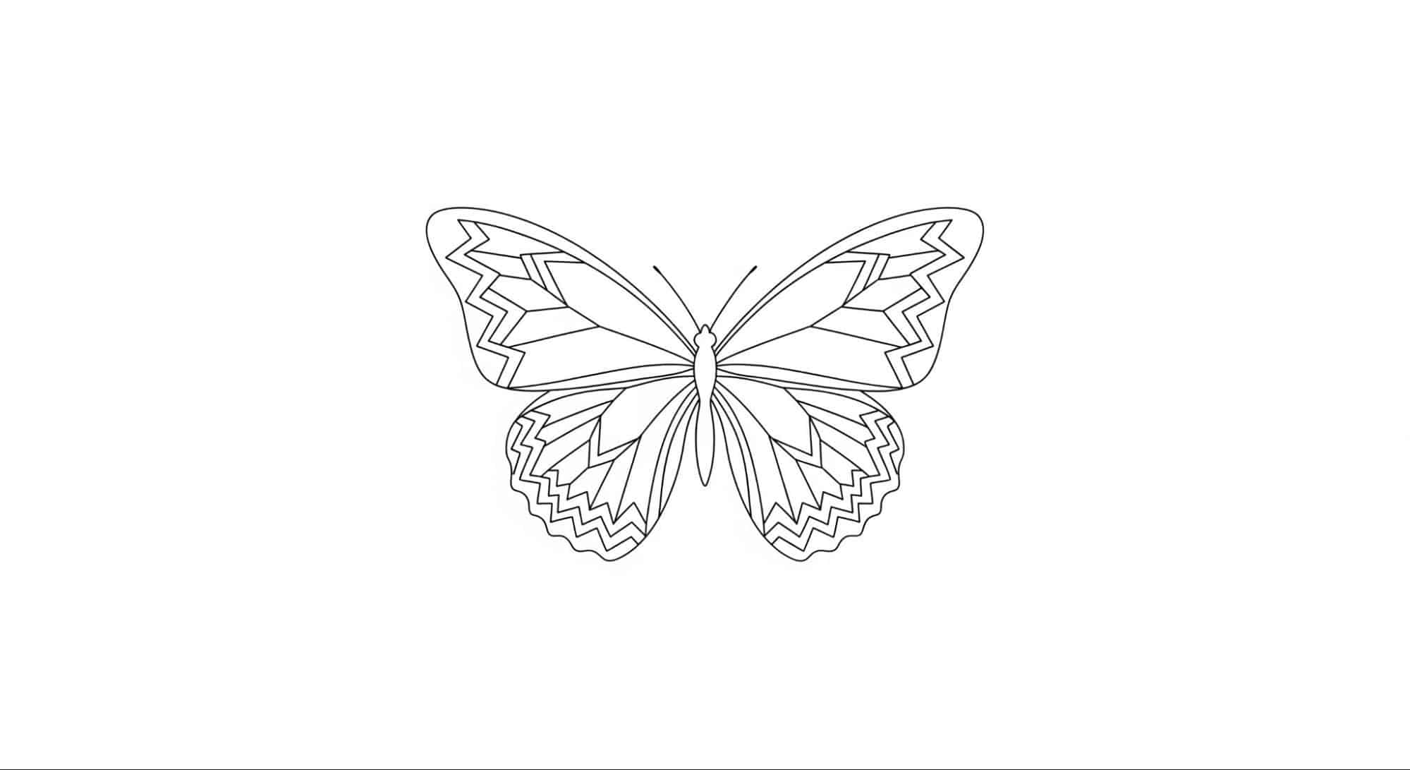 Butterfly_with_Zigzag_Pattern_Wings