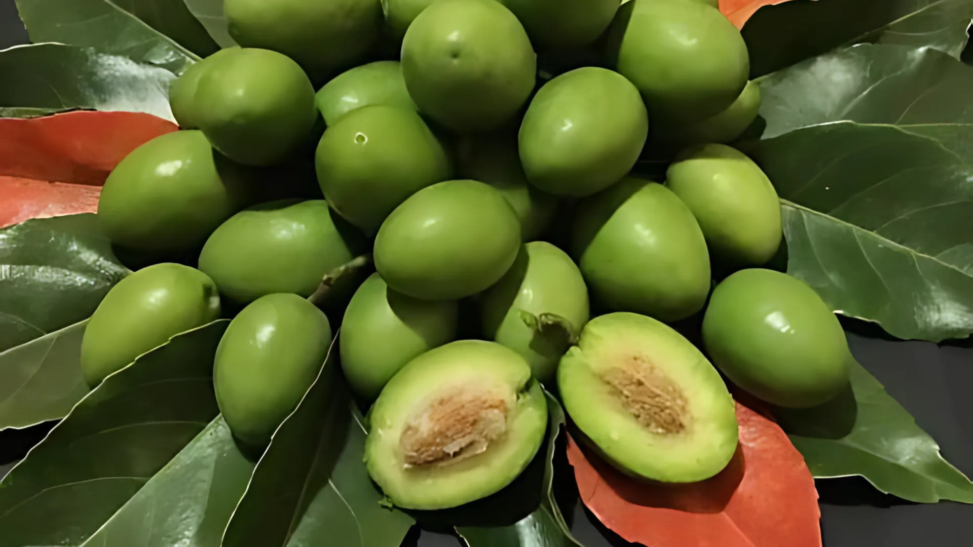 Olive
