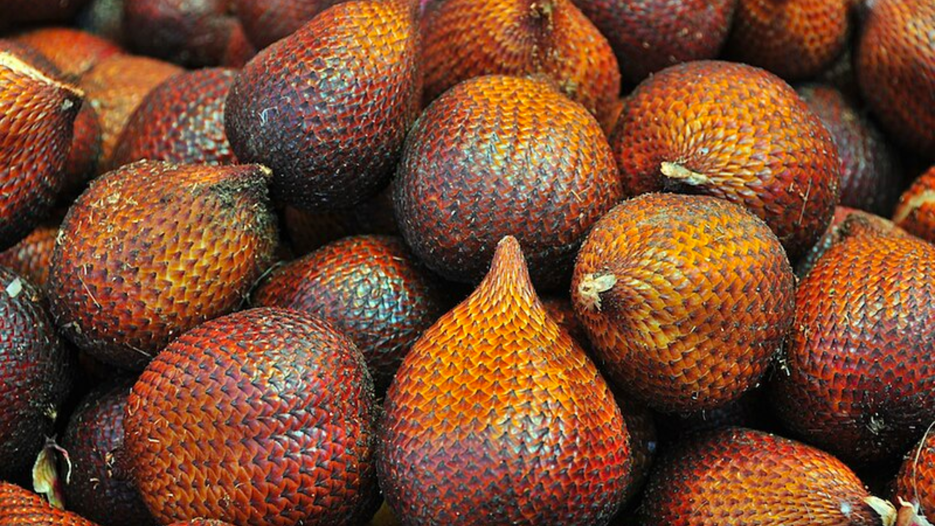 Salak