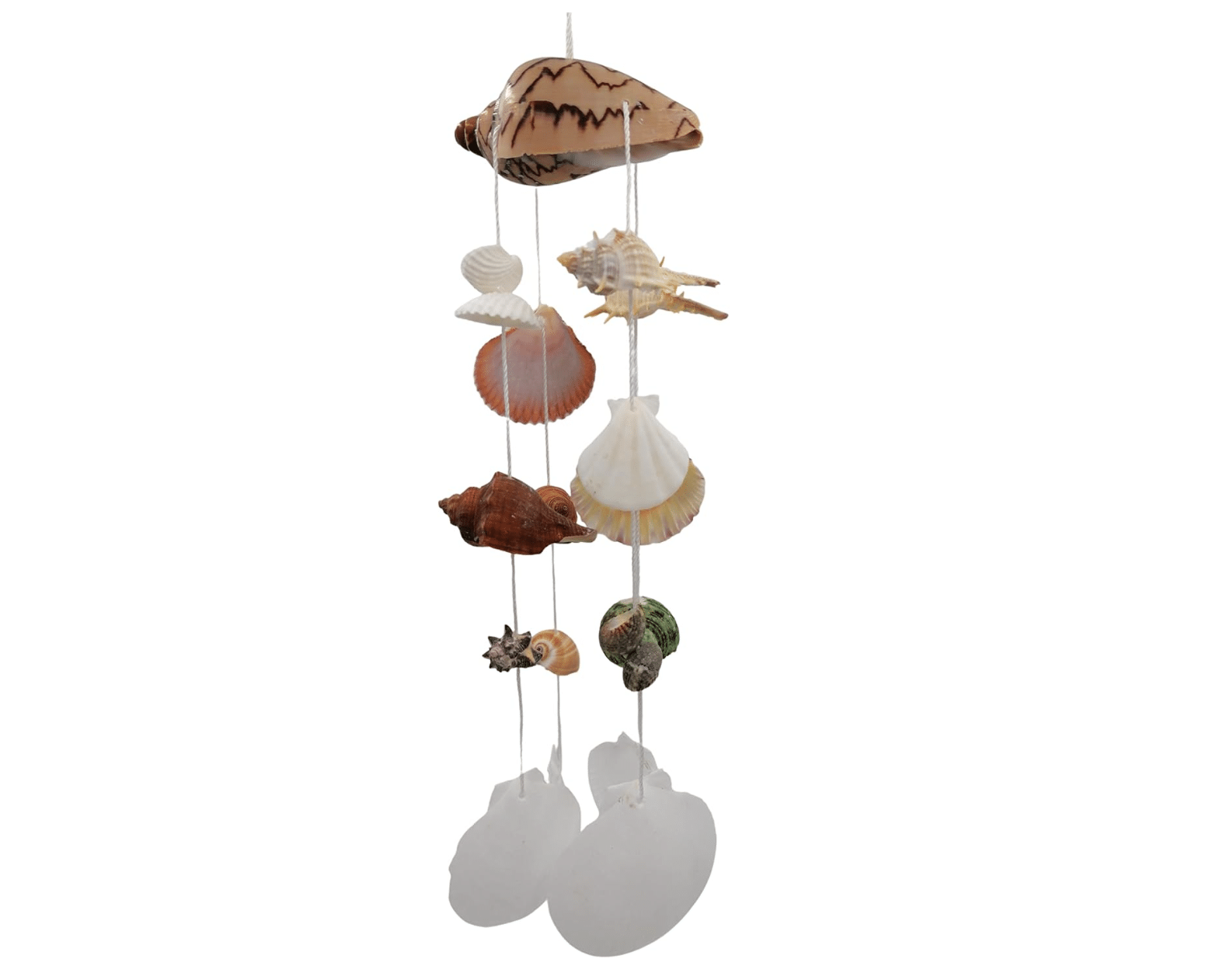 Seashell Wind Chimes by Generic