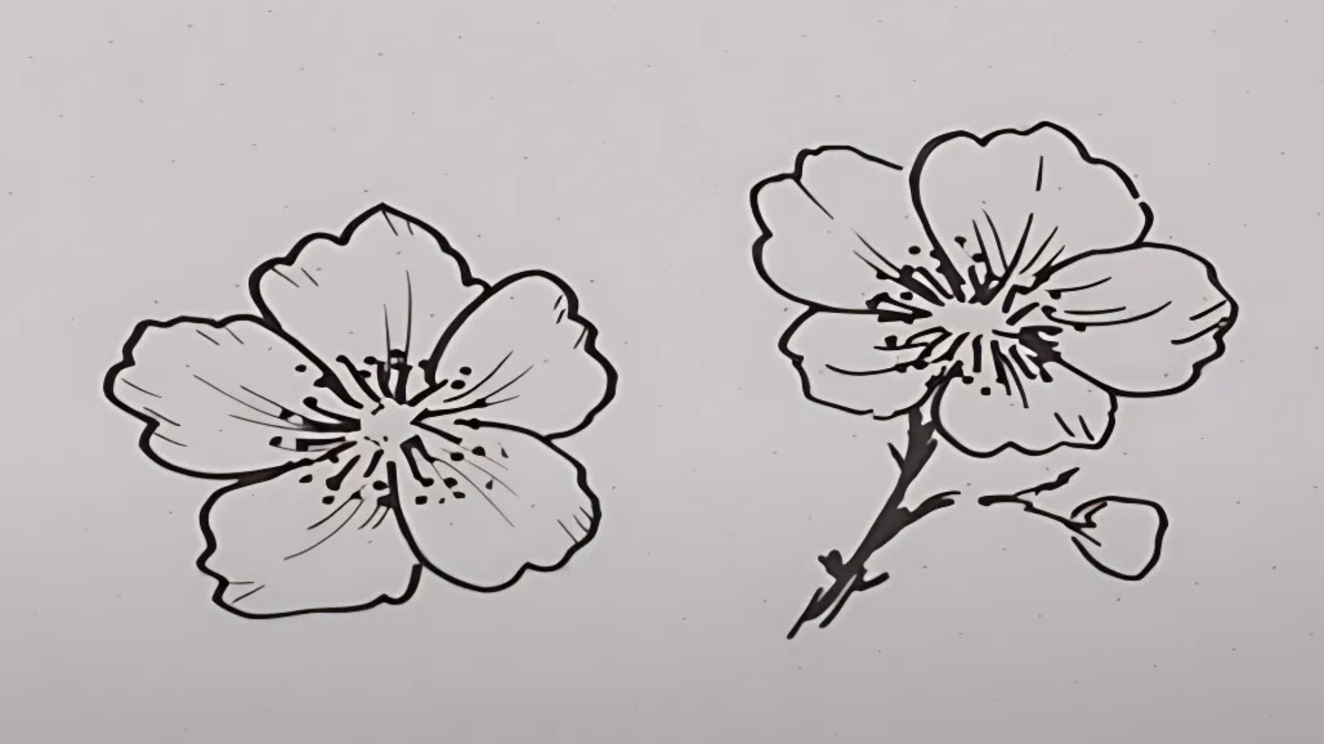 Step_5_Trace_and_Shade_the_Flower