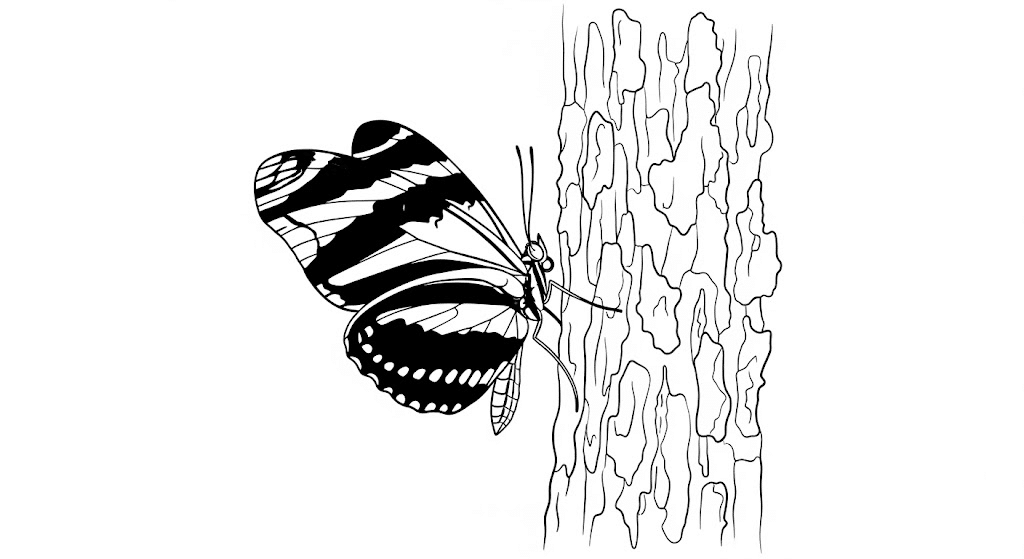 Zebra_Longwing_Butterfly_with_Half-Patterned_Wings_near_Tree_Bark