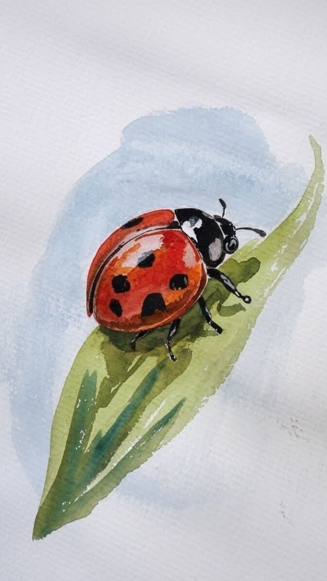 Insects_Butterflies_Ladybugs_Caterpillars