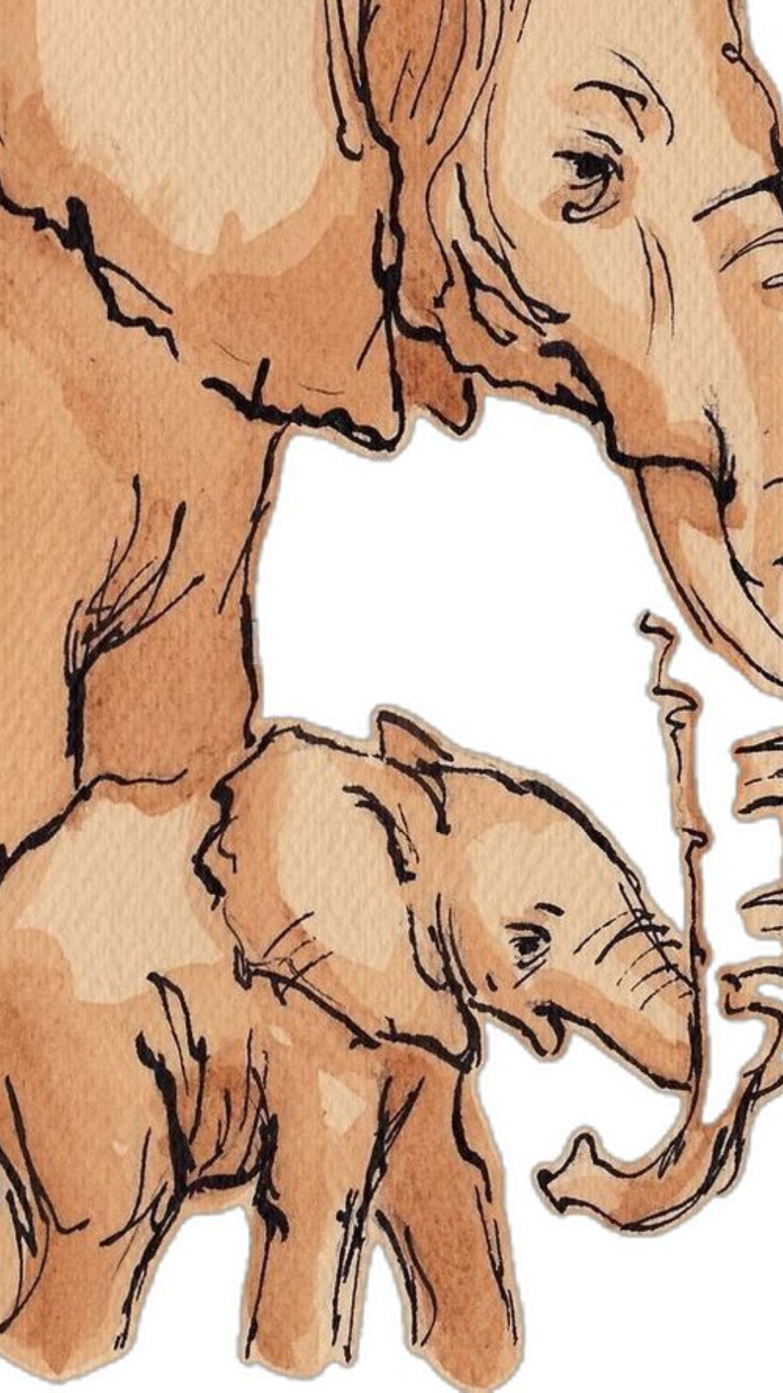 Line-Drawing_Elephants