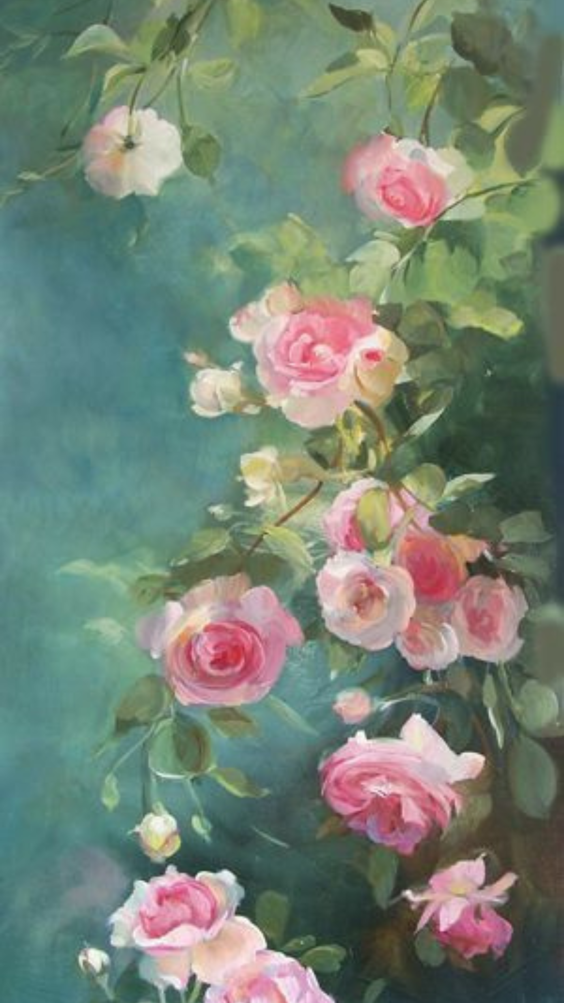 Roses